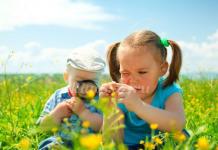Environmental education in preschools in accordance with federal state standards