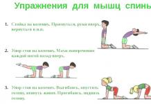 15 best exercises for children 7-10 years old - correct posture and increase muscle tone with a daily set of exercises!